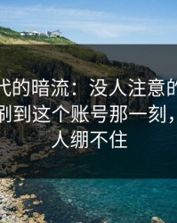 网络时代的暗流：没人注意的时候51网网址刷到这个账号那一刻，真的让人绷不住