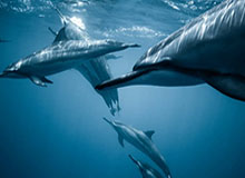 51吃瓜黑料背后原因这一轮不只是爆点，连隐藏信息都有人对线