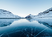 从匿名评论到网络爆红：那条评论区的奇妙旅程